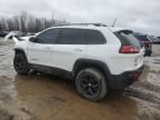 2018 Jeep Cherokee Trailhawk
