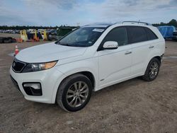 KIA Sorento salvage cars for sale: 2013 KIA Sorento SX