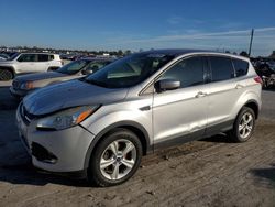 Ford Escape salvage cars for sale: 2014 Ford Escape SE