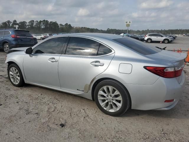 2013 Lexus ES 300H