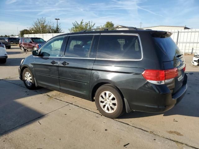 2010 Honda Odyssey EXL