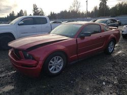 Ford salvage cars for sale: 2005 Ford Mustang