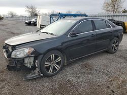 Chevrolet salvage cars for sale: 2009 Chevrolet Malibu 1LT