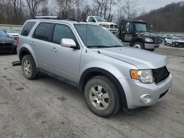 2012 Ford Escape Limited