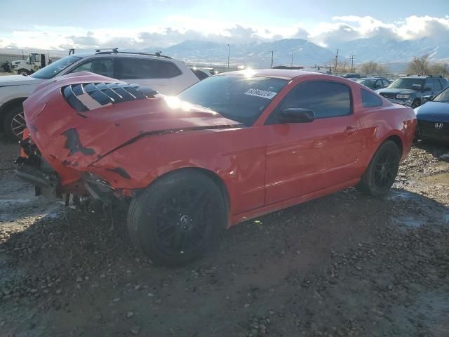 2014 Ford Mustang