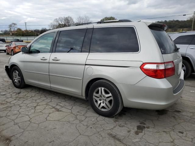 2005 Honda Odyssey EXL