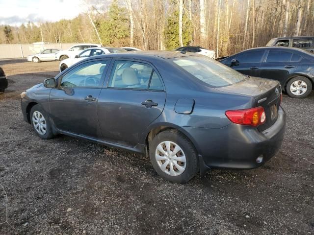 2009 Toyota Corolla Base