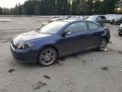 Scion salvage cars for sale: 2008 Scion TC