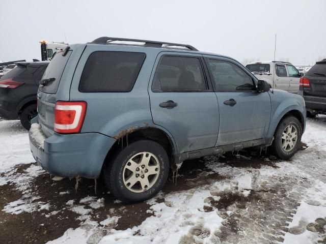 2011 Ford Escape XLT