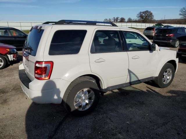 2011 Ford Escape Limited