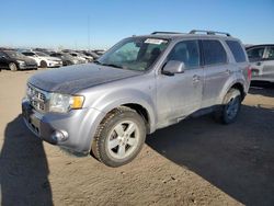 Ford Escape salvage cars for sale: 2008 Ford Escape Limited