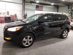 Ford Escape salvage cars for sale: 2016 Ford Escape SE