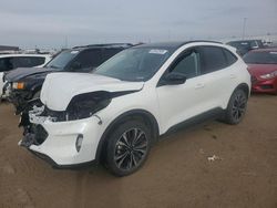 Ford Escape sel salvage cars for sale: 2022 Ford Escape SEL