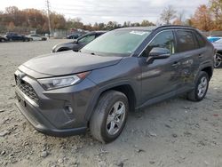 Toyota rav4 salvage cars for sale: 2019 Toyota Rav4 XLE