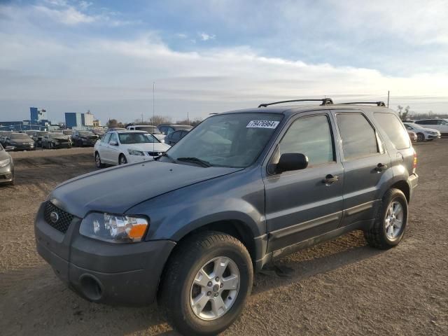 2005 Ford Escape XLT