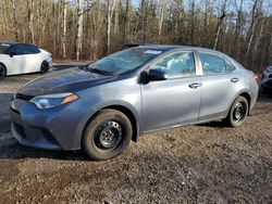 Toyota Corolla salvage cars for sale: 2014 Toyota Corolla L