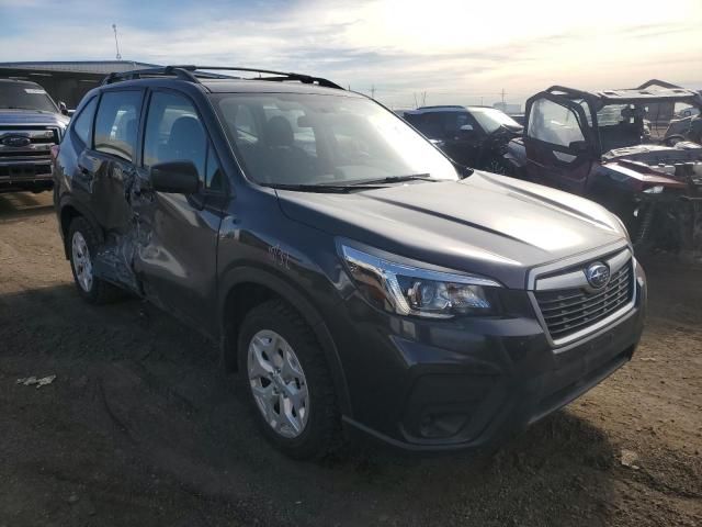 2019 Subaru Forester