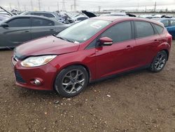 Ford Focus salvage cars for sale: 2013 Ford Focus SE