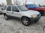 2004 Ford Escape XLT