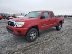 Toyota Tacoma salvage cars for sale: 2013 Toyota Tacoma Access Cab