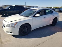 Nissan Maxima salvage cars for sale: 2013 Nissan Maxima S