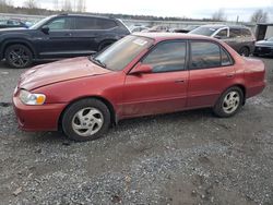 Toyota Corolla salvage cars for sale: 2001 Toyota Corolla CE