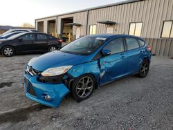 Ford Focus salvage cars for sale: 2014 Ford Focus SE