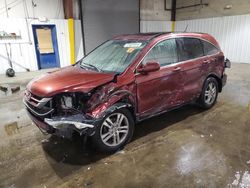 Honda crv salvage cars for sale: 2010 Honda CR-V EXL