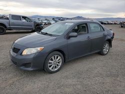 Toyota Corolla salvage cars for sale: 2009 Toyota Corolla Base