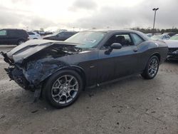 Dodge Challenger salvage cars for sale: 2017 Dodge Challenger GT