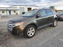 Ford Edge salvage cars for sale: 2011 Ford Edge SEL