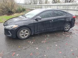 Hyundai Elantra salvage cars for sale: 2017 Hyundai Elantra ECO