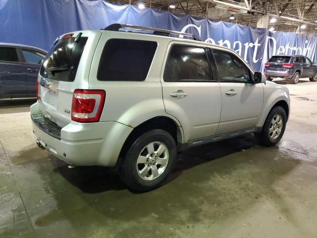 2010 Ford Escape Limited