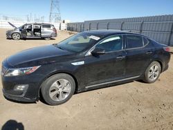 KIA Optima salvage cars for sale: 2015 KIA Optima Hybrid