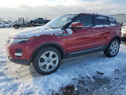 Land Rover salvage cars for sale: 2013 Land Rover Range Rover Evoque Pure Premium