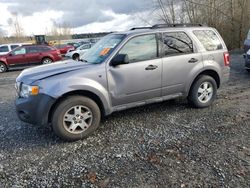 Ford Escape salvage cars for sale: 2008 Ford Escape XLT