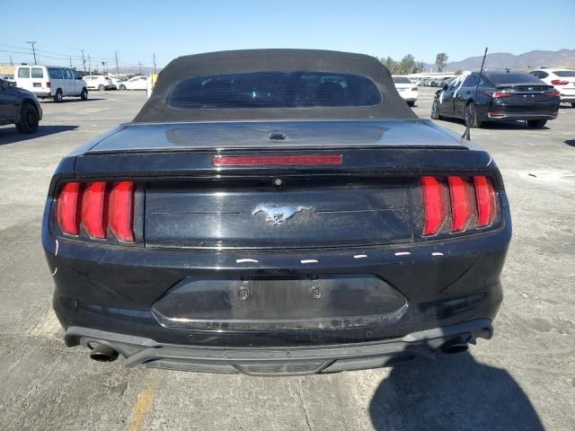 2019 Ford Mustang