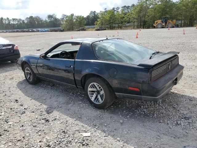 1982 Pontiac Firebird SE