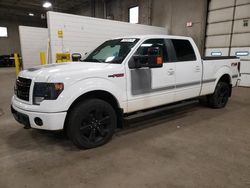 Vehiculos salvage en venta de Copart Blaine, MN: 2013 Ford F150 Supercrew