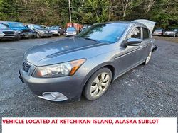 Honda Accord salvage cars for sale: 2009 Honda Accord EXL