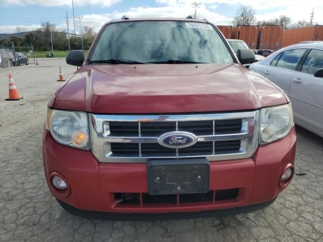 2010 Ford Escape XLT