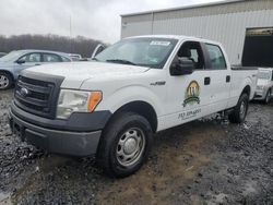 Ford f-150 salvage cars for sale: 2013 Ford F150 Supercrew