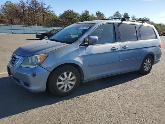 2008 Honda Odyssey EXL