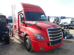 Freightliner Cascadia 126 salvage cars for sale: 2019 Freightliner Cascadia 126