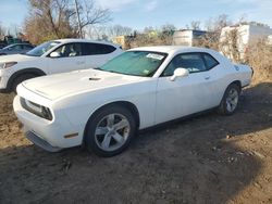 Dodge Challenger salvage cars for sale: 2013 Dodge Challenger SXT