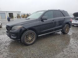 Mercedes-Benz salvage cars for sale: 2014 Mercedes-Benz ML 350