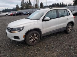 Volkswagen salvage cars for sale: 2016 Volkswagen Tiguan S