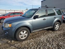 Ford Escape salvage cars for sale: 2010 Ford Escape XLS