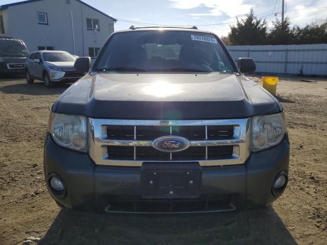 2008 Ford Escape XLT