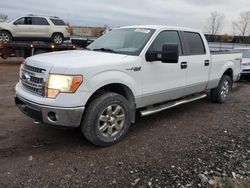 Ford f-150 salvage cars for sale: 2013 Ford F150 Supercrew